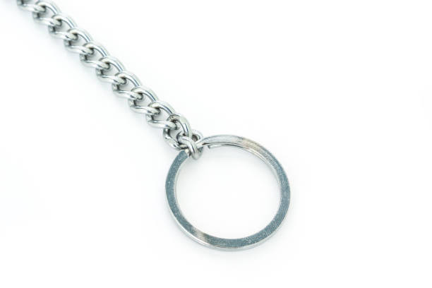 istock key chain safety key home or car and key other 1028718518