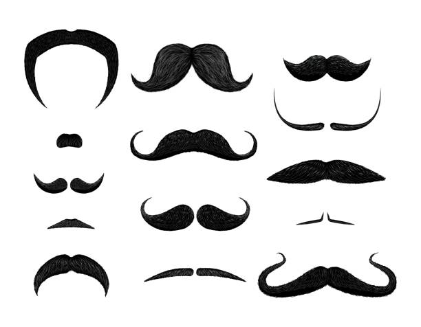 Set of different styles of mustache isolated on white background. Set of different styles of mustache isolated on white background. Hand-drawn illustrations. animal whisker stock illustrations