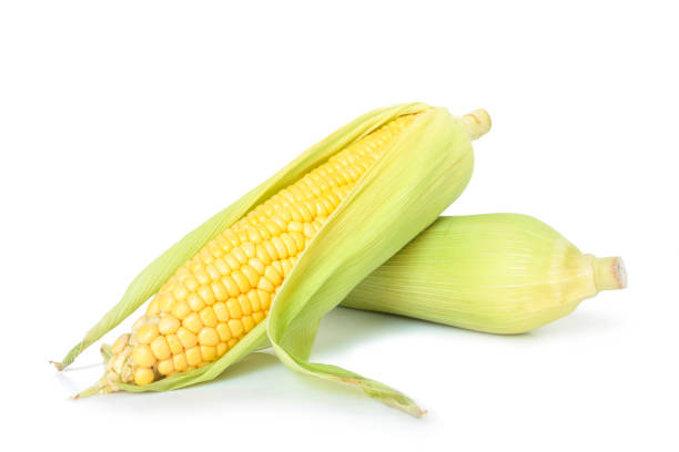 istock corn on the cob, husk organic food nature background 1028723832