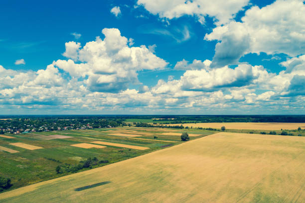 A picturesque view of lush green fields and gently rolling hills under a cloudy sky, showcasing the countryside beauty of Denmark. The verdant tones evoke tranquility and serenity in this summer scene.