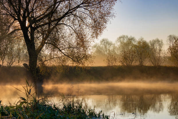 istock Fog over river surface on a sunny autumn morning. River landscape 1028724282