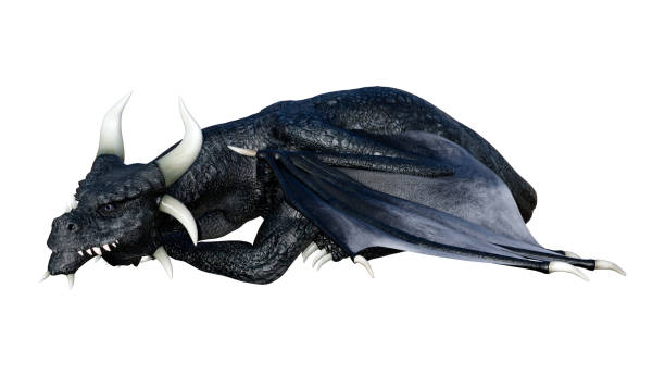 istock 3D illustration black fairy tale dragon on white 1028735664