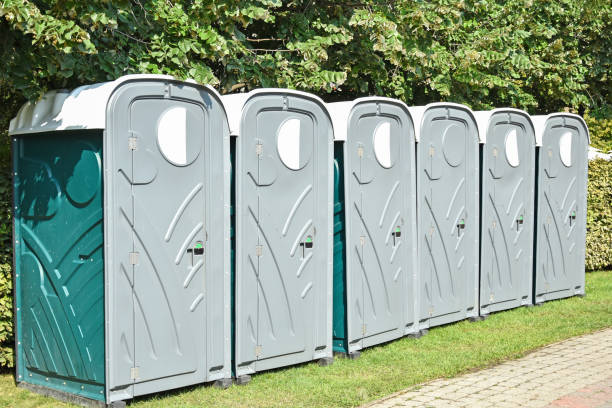 istock Portable toilets on the street 1028740526