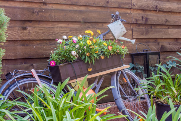 bicicleta antiga reconstruída como um carrinho de flor para fins decorativos - garden feature - fotografias e filmes do acervo