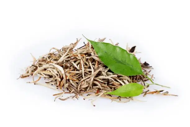 Dried White Tea Leaves