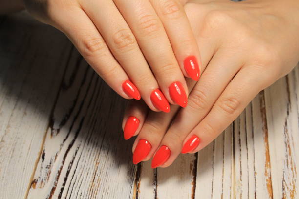 istock Sexual pink manicure on beautiful female hands 1028767302