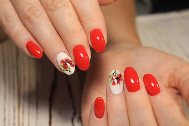 istock Amazing natural nails. Women's hands with clean manicure. 1028770174