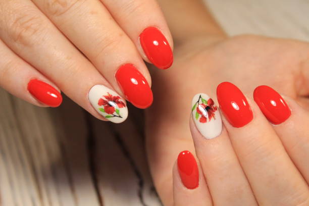 istock Beautiful Female Hands. Beautiful hand with perfect nail 1028771842