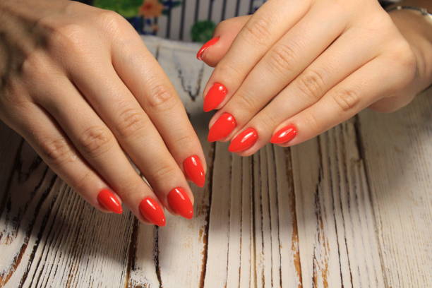 istock Sexual pink manicure on beautiful female hands 1028772046