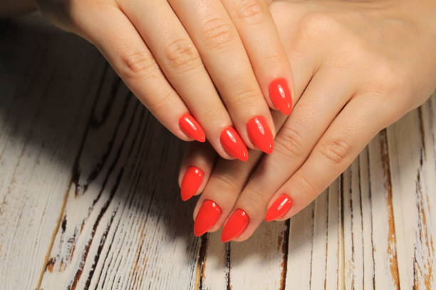 istock Beautiful Female Hands. Beautiful hand with perfect nail 1028772314