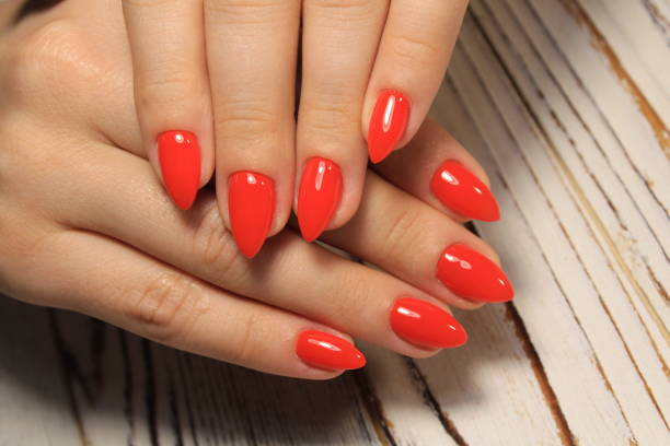 istock Sexual pink manicure on beautiful female hands 1028772670
