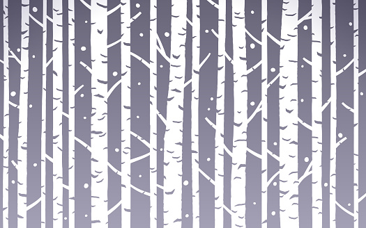 Birch trees background abstract.