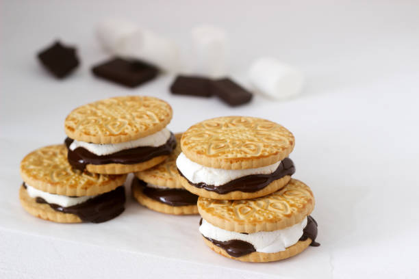 istock Homemade marshmallow s'mores with chocolate on crackers on a white background. 1028779512