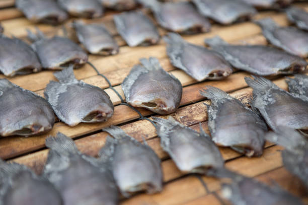 Close up Dried fish on bamboo mat texture backgruond