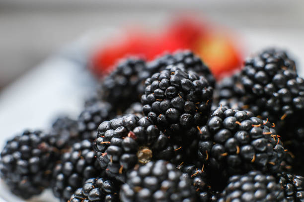 istock plenty of fresh blackberries 1028783170