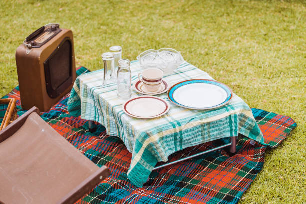 Vintage style picnic setup on grass