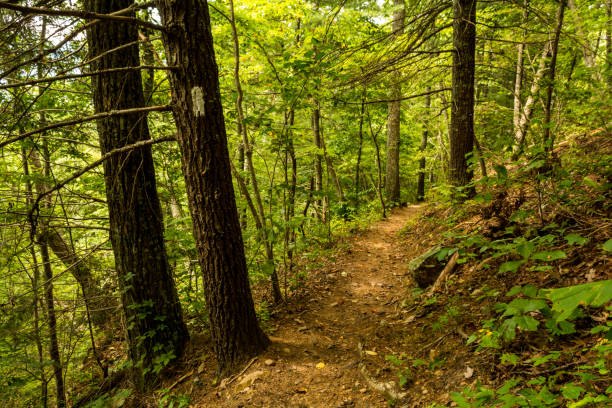 istock Appalachian Trail, Big Laurel Branch Wilderness 1028786756