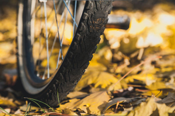 istock bicycle wheel stands on fallen leaves of trees 1028789764