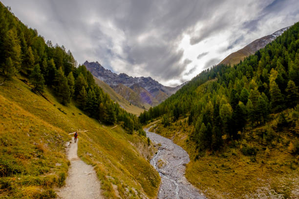 istock Swiss National Park, Val Trupchun (Graubünden, Switzerland) 1028790152