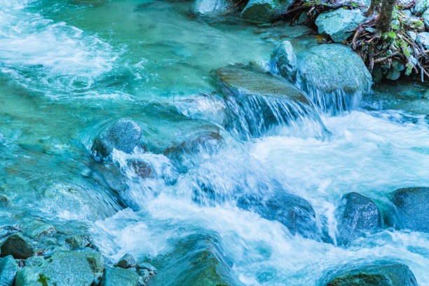 fiume tra le montagne dietro il torrente di acqua ricca - ruscello foto e immagini stock