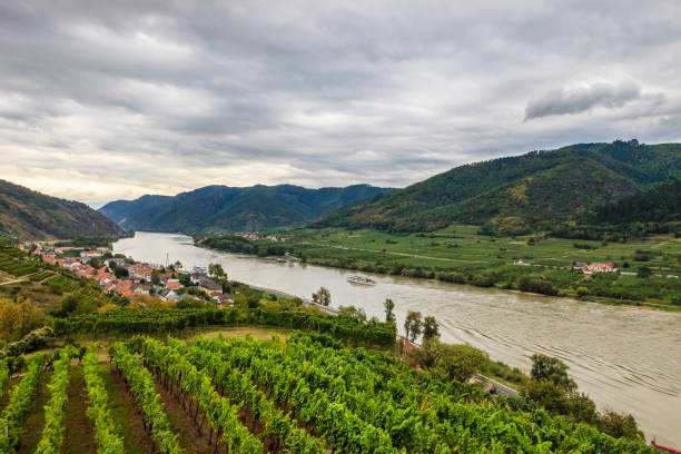 wachau y danubio (austria) - danube valley danube river vineyard austria fotografías e imágenes de stock