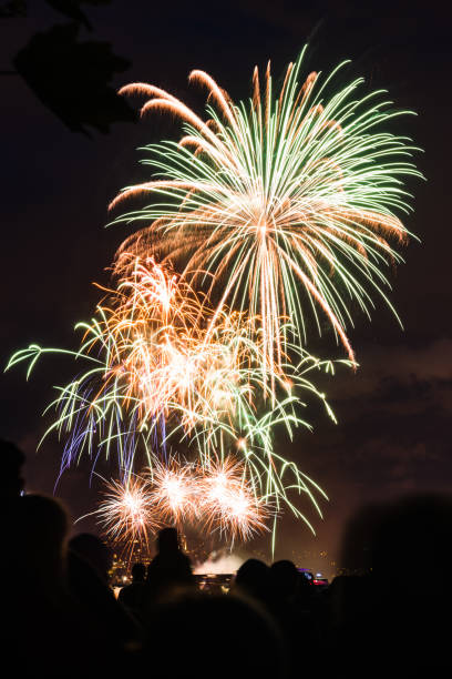 istock Silhouette of Happy People Watching Fireworks 1028793888
