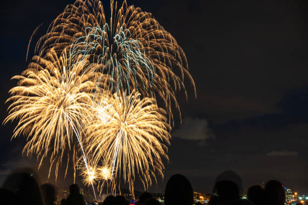 istock Beautiful Golden Fireworks in the Night Sky 1028793984