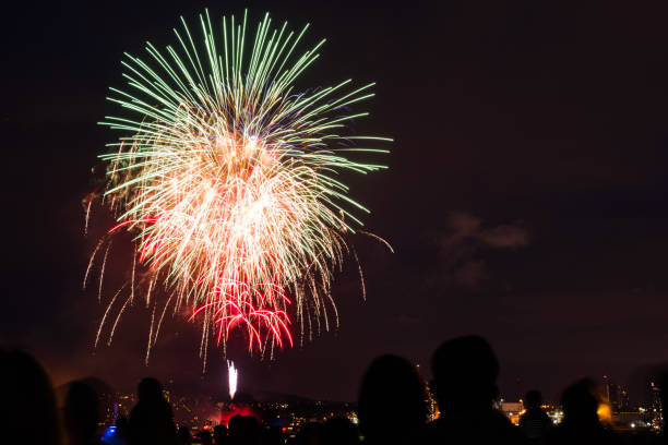 istock Colourful Fireworks in the Night Sky 1028793988