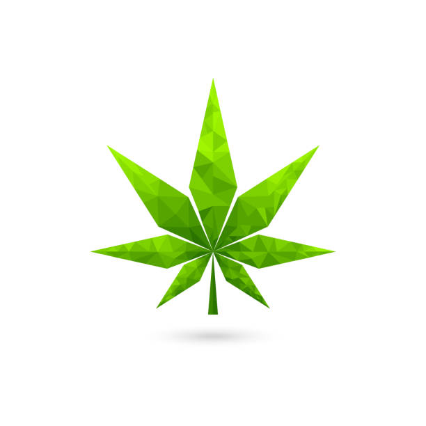 ilustrações, clipart, desenhos animados e ícones de folhas de cannabis geométrica - uncultivated environment growth vector backgrounds