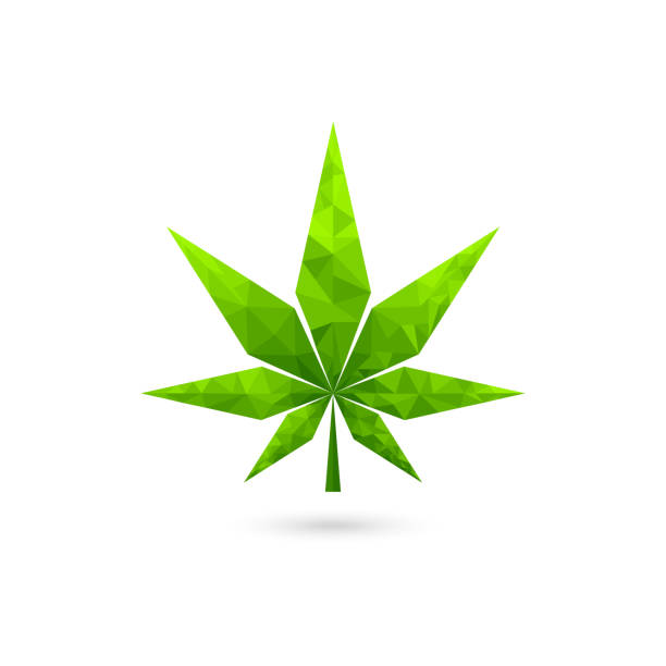geometric cannabis leaves low poly cannabis design, green leaf geometric vector design low quality of life stock illustrations