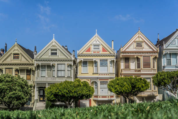 istock Painted Ladies, San Francisco, California 1028800164