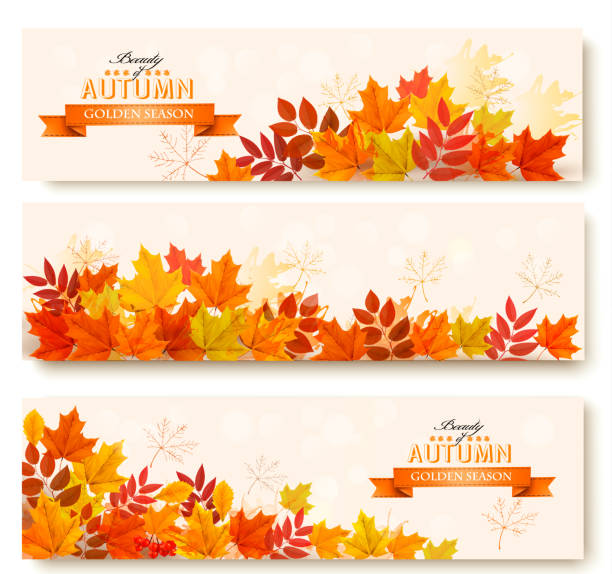 Three abstract autumn banners with colorful leaves. Vector Three abstract autumn banners with colorful leaves. Vector fall weather stock illustrations