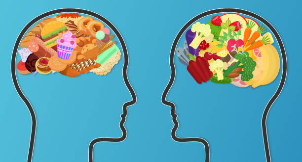Vector Unhealthy junk food and healthy diet comparison. Food brain modern concept. Unhealthy junk food and healthy diet comparison. Food brain modern concept food recall stock illustrations
