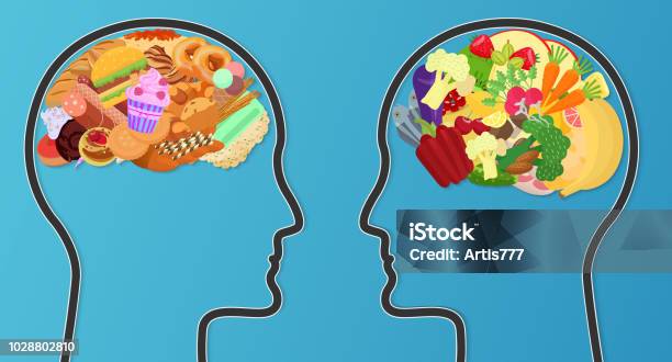 Vector Unhealthy Junk Food And Healthy Diet Comparison Food Brain Modern Concept Stock Illustration - Download Image Now