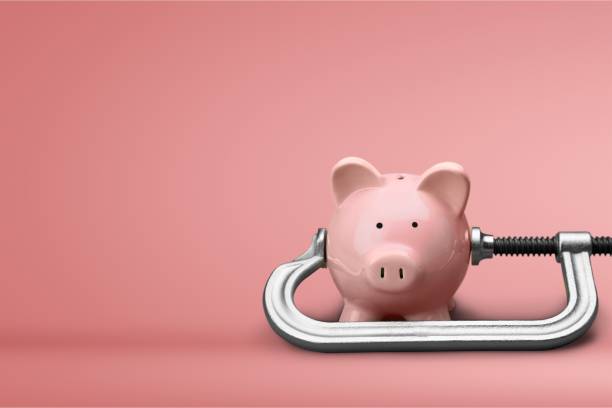 istock Piggy bank. 1028802918