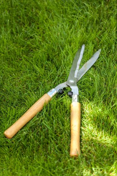 istock Gardening equipment. 1028818800