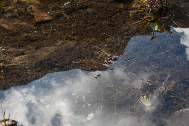 istock Water reflection in iceberg pond in high mountains 1028818874