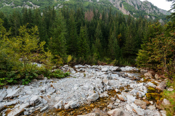 istock Hiking Trail in the High Tatra 1028827118