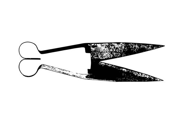 старые ржавые ножницы - getty stock illustrations