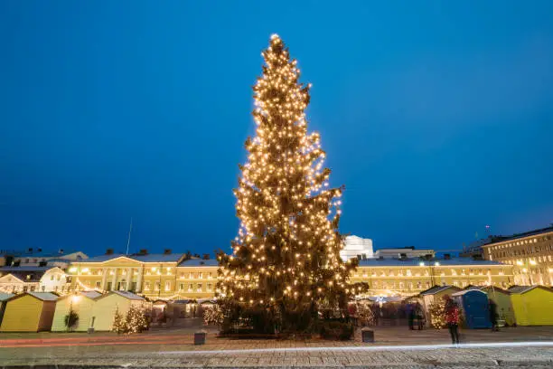 Photo of Helsinki, Finland. Evening View Of Christmas Tree On Senate Square In Evening Night Christmas Xmas Festive Illuminations