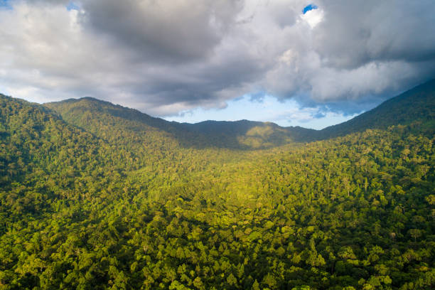 istock Aerial shot tropical forest and  Waterfall  south Thailand 1028833986