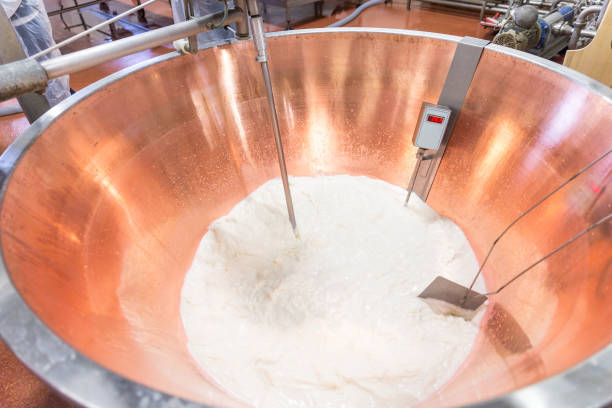 istock Parmesan cheese prduction process in Bologna Italy 1028836954