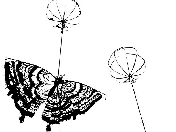 uçurtma ve balonlar havada uçuyor - getty stock illustrations