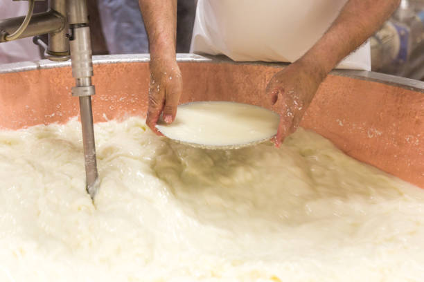 istock Parmesan cheese prduction process in Bologna Italy 1028837354