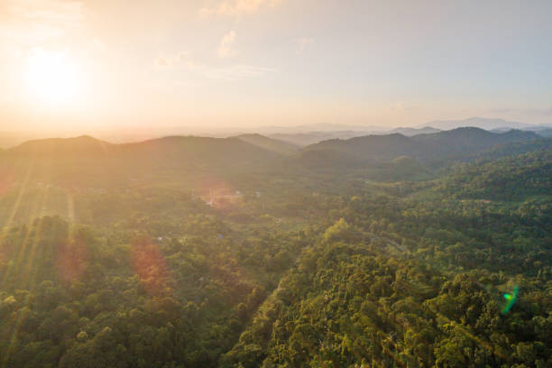 istock Aerial shot tropical forest and  Waterfall  south Thailand 1028837582