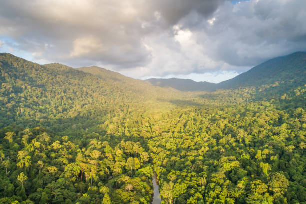 istock Aerial shot tropical forest and  Waterfall  south Thailand 1028837586