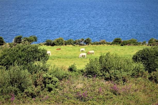 istock The Ring Of Kerry In Ireland 1028849936