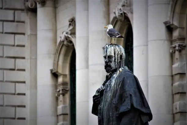 Photo of Statue Bird Droppings Belfast