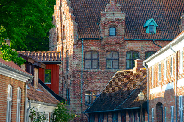 istock Ribe old buildings facades 1028854062