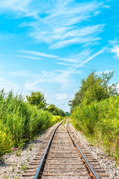 binario ferroviario in campagna con punto di fuga, scena rurale, layout verticale - railroad track train journey rural scene foto e immagini stock